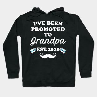 I have been promoted to Grandpa 2020 Hoodie